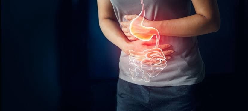 Digestive Gut Health / Oxidative Stress support visual
